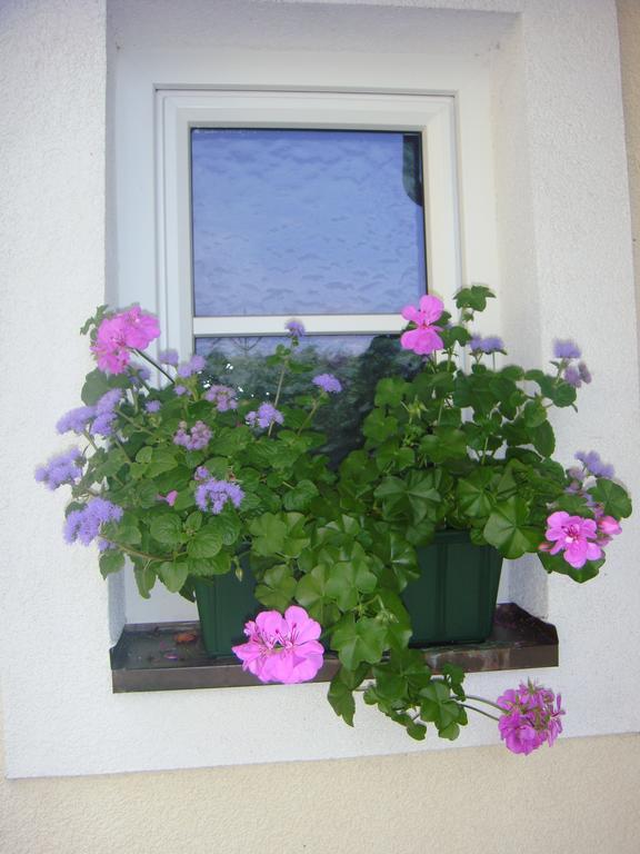 Steger Apartmán *