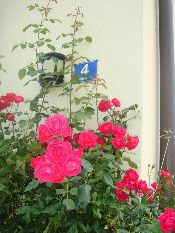 Steger Apartmán