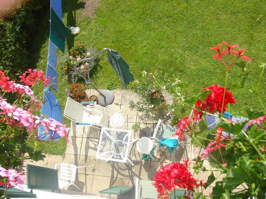 Steger Bodensdorf